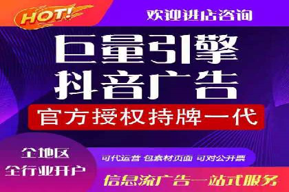 SEM竞价广告优化全攻略：经典案例解析